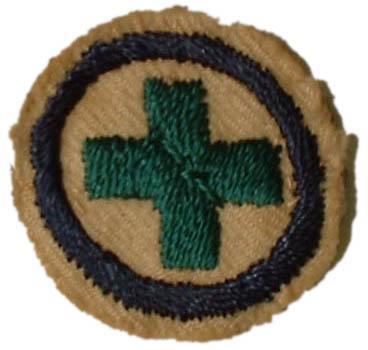 Image of round white felt badge embroidered with a green cross, within a dark blue ring.