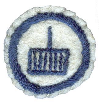 Image of round white felt badge with image of gridiron in dark blue embroidery, within a ring of navy embroidery.