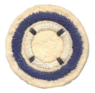 Photo of round white felt badge with logo of stitched white life ring with dark blue bands, within a dark blue embroidered ring