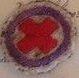 White felt badge embroidered with red cross within purple embroidered ring